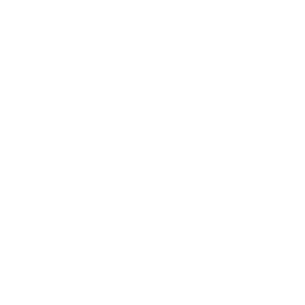 Le Lis logo_Le Lis White Trans*